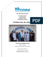 Informe Final Serums 2012