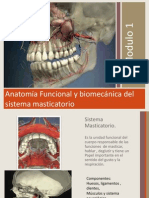 Anatomia Funcional y Biomecnica Del Sistema Masticatorio VPDF