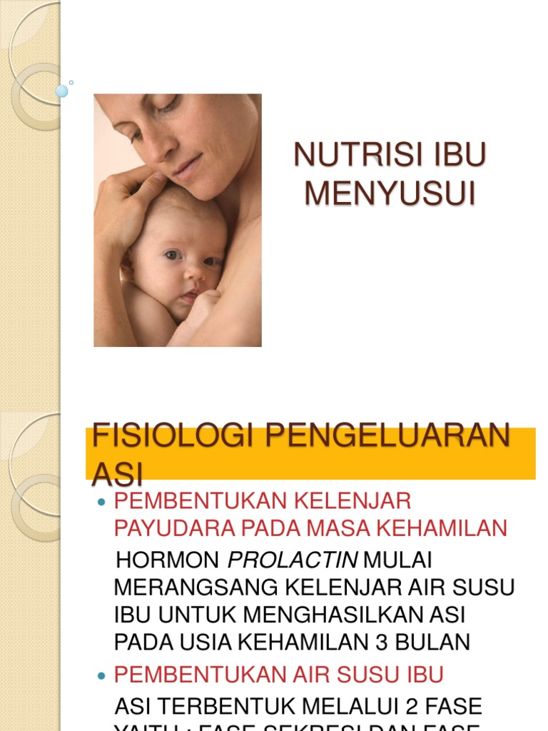 Nutrisi Ibu Menyusui