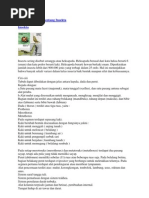 Download Makalah Biologi Tentang Insekta by Adrial Ikhwan Senari SN137154195 doc pdf