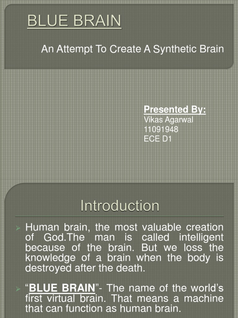 Synthetic Brain Creation: Blue Brain Project | PDF | Computers