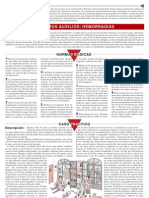 Notas Practicas Primeros Auxilios Hemorragias