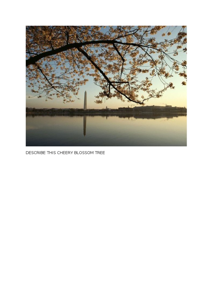 Cheery Blossom Tree | PDF | History | Religion & Spirituality