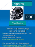 HHP Dolphin 2009 (Begin Playbook)