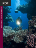 Download Your Guide to Marsa Alam and the South Final by Eco-diving Villages - Marsa Alam SN13718576 doc pdf