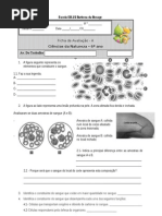 FA4 CN Circulatório Resp. Celular 2013 A