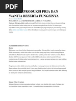 Alat Reproduksi Pria Dan Wanita Beserta Fungsinya