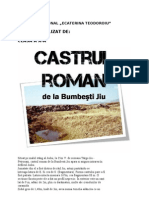 Castrul Roman Bumbesti Jiu