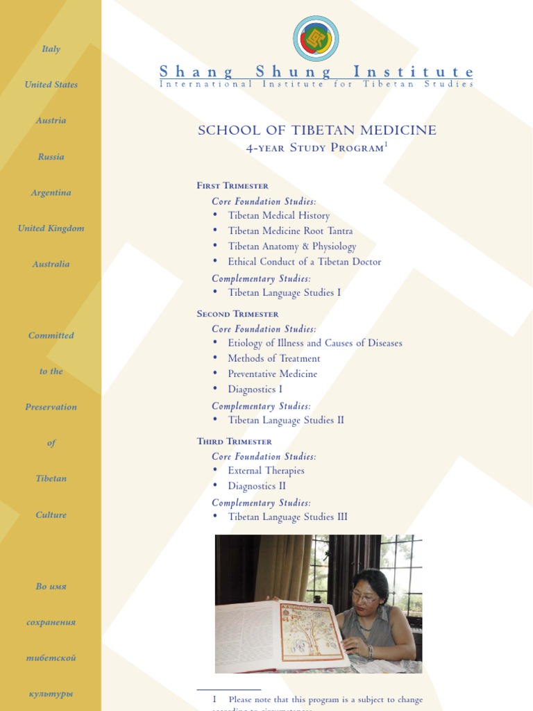 Ssi Ru STM Study Program Web | PDF