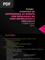 A 2ano Urologia - Salete Costa 2012 Rev1
