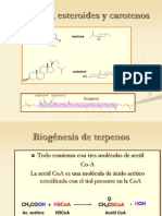 Terpenos y Carotenos