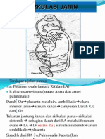 Mekanisme Sirkulasi Pada Fetal Dan Bayi Yang Telah Lahir