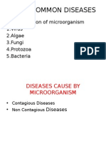 Some Common Diseases: - Classification of Microorganism 1.virus 2.algae 3.fungi 4.protozoa 5.bacteria