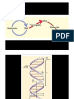 genética molecular.pdf