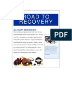Road To Recovery: Acl Injury Background