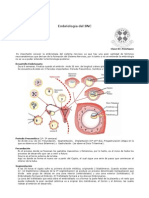 Desarrollo Embrionario PDF