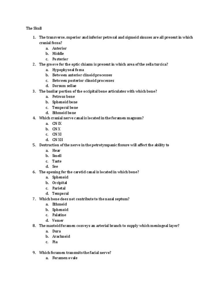 Head and Neck Anatomy Quiz PDF Primate Anatomy Human Head And Neck