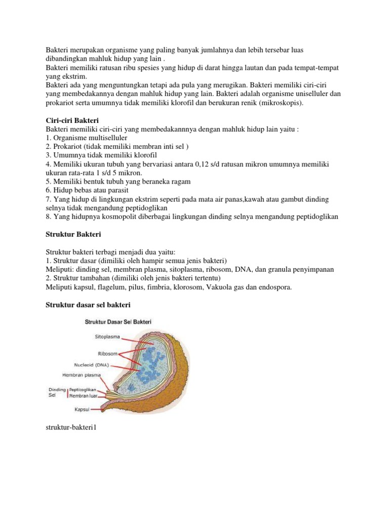 Bakteri Merupakan Organisme Prokariotik Karena Tidak Mempunyai image