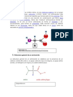 Amino Acid Oss