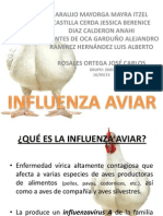 Influenza Aviar 2605