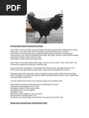 Khasiat Ayam Selasih Pdf