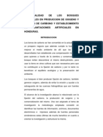 Potencialidad de Los Bosques Naturales en Produccion de Oxigeno y Fijacion de Carbono y Establecimiento de Plantaciones Artificiales en Honduras