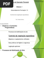 Controlo da Vegetação Espontânea - Versão impressão.pptx