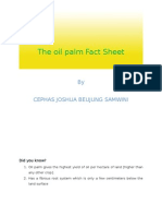 The Oil Palm Fact Sheet