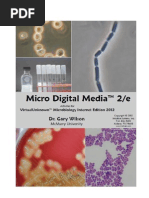 Download Micro Digital Media 2e Lab Book-3 by string44 SN137310455 doc pdf