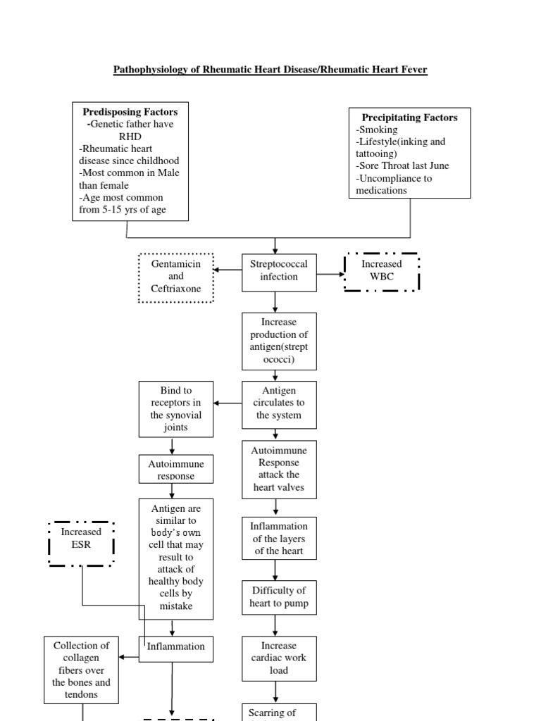 Pathophysiology of Rheumatic Heart Disease | Heart | Epidemiology