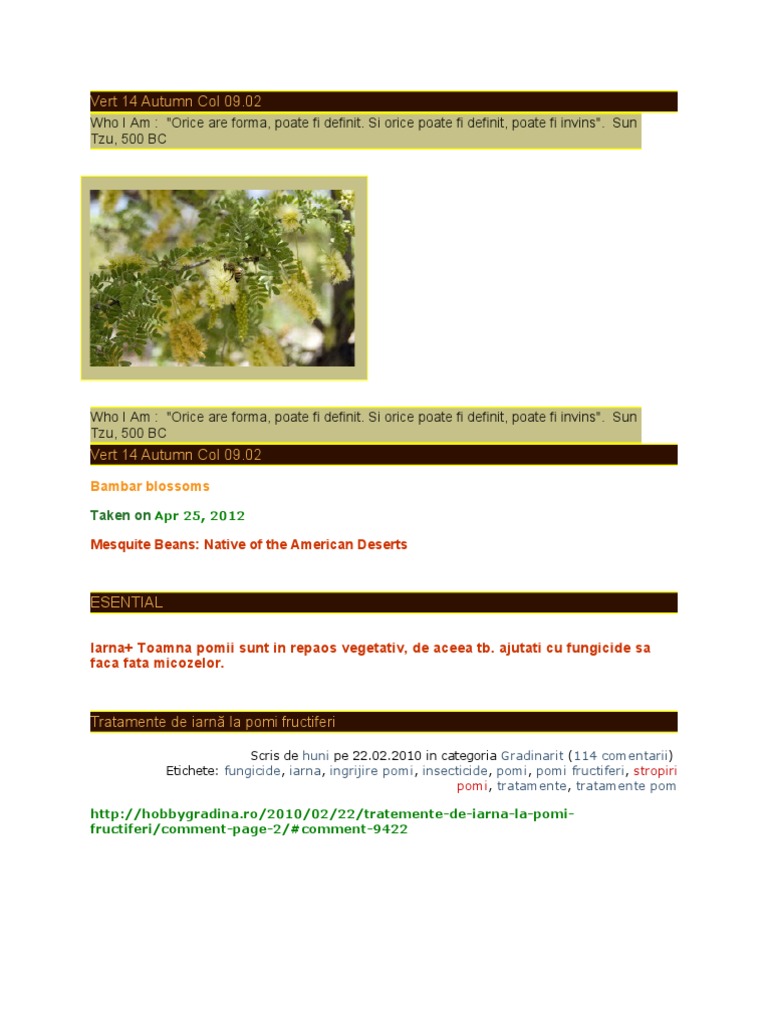 Pomi 1 Tratamente De IarnÄ La Pomi Fructiferi