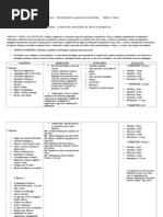 PLANEJAMENTO ANUAL 2013.doc