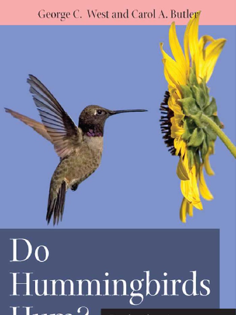 Do Hummingbirds Hum | PDF | Pollinators | Flowers