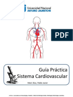 7 - El Sistema Cardiovascular - TP PDF