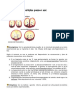 Tipos de Embarazos Múltiples