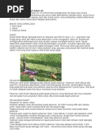 Download Cara Mudah Membuat Roket Airdoc by Oneupdolaught Sunnill SN137350383 doc pdf
