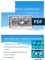 Felipe Penteado - Velocidade de Congelamento (PPT) - Cópia.pdf