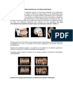 Anatomía Interna de Las Piezas Dentarias