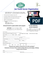 NGYSO Soccer Flyer 2013