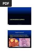 Carcinogenese2008.pdf