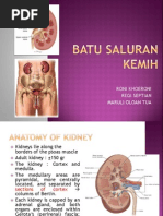 Download Pembentukan Batu Kemih 2013 by Regi Septian SN137449907 doc pdf