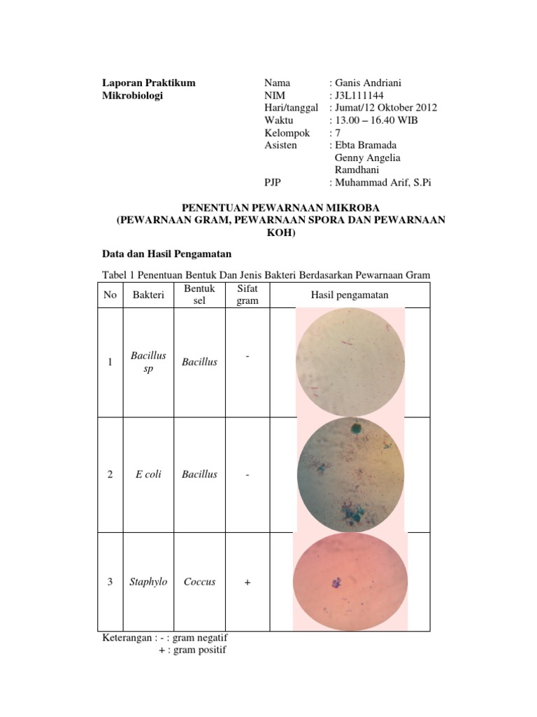 Laporan Mikrobiologi
