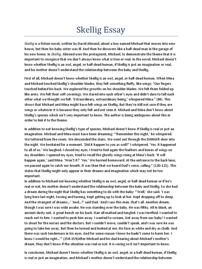 Skellig questions and answers image