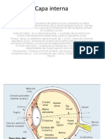 Capa Interna