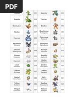 Pokmon Jungle Set Checklist | PDF