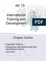 Developing Global Teams Through Int'l Training