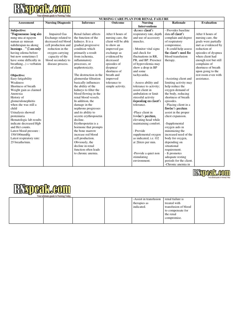 Nursing Care Plan for Renal Failure | PDF | Kidney | Breathing