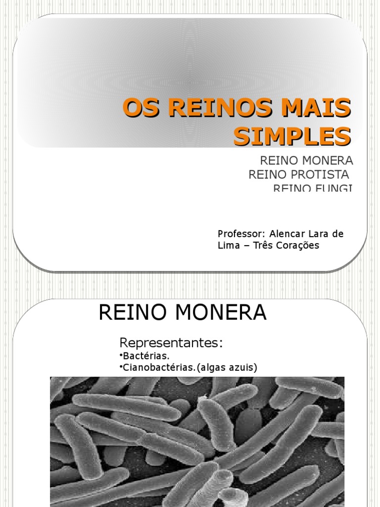 Reinos Monera, Protista e Fungi: Características | PDF | Fungo | Algas