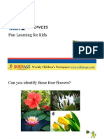 Fun Learning For Kids - Flowers