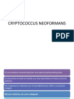 Cryptococcus Neoformans